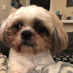 Meet your Posher, Alysa